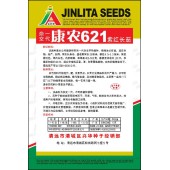 清远兴华 康龙621紫红长茄种子 早熟 高产抗病 果长35厘米 茄子种子 5克装
