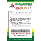 清远清蔬 密刺王A6青瓜种子 早中熟 抗病力强 瓜把短 瘤小刺密 青瓜种子 10克装