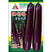 清远兴华 澳利塔紫红长茄种子 中晚熟 抗病 亩产达7000公斤以上 长茄种子 5克装