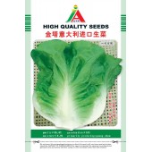 清远兴华 金塔意大利进口生菜种子 可全年种植 产量高 品质好 生菜种子 20克装