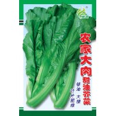 清远清蔬 农家大肉甜油芥菜种子 叶片肥绿 够油 大棵 芥菜种子 10克装