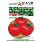 清远兴华 澳利塔728高档硬果番茄种子 早熟性好 综合抗病性强 商品性极佳 番茄种子 5克装