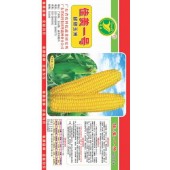 广东粤蔬 超甜佳美1号玉米种子 广东农科院选育 亩产800公斤 3月8月适播 玉米种子 450克/罐