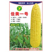广东粤蔬 超甜佳美1号玉米种子 广东农科院选育 亩产800公斤 3月8月适播 玉米种子 450克/罐