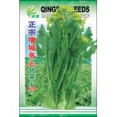 清远清蔬 正宗增城多心甜菜心种子 增城专业菜场选育 味道甜美爽脆  菜心种子 500克装