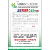 清远清蔬 正宗增城多心甜菜心种子 增城专业菜场选育 味道甜美爽脆  菜心种子 500克装