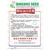 清远兴华 银钻油白豆角种子 早中熟 不易鼠尾 适合豆角基地种植 种子 200克装