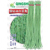 清远兴华 银钻油白豆角种子 早中熟 不易鼠尾 适合豆角基地种植 种子 200克装