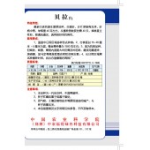 中国农科院 贝拉速生菠菜种子 尖圆叶 单棵重40克左右 菠菜种子 300克罐装