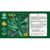 中国农科院 冬冠西葫芦种子 中早熟 冬季温室大棚西葫芦品种 亩产达30000斤 西葫芦种子 50克装