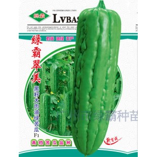 广州绿霸 绿霸翠美黑籽大肉油绿苦瓜种子 抗病 油绿 丰产 耐热 耐湿 生长势强 苦瓜种子 25克装