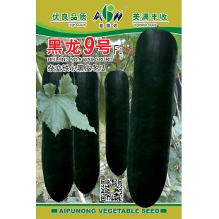 广东爱普农 黑龙九号杂交铁心冬瓜种子 果实细长 瓜长75-90厘米 转黑快 铁心冬瓜种子 15克装