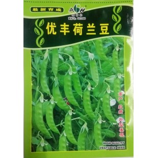 广东爱普农 优丰荷兰豆种子 11号荷兰豆再改良的新品种 产量高 荚形较大且平直 清甜 纤维少 400克装