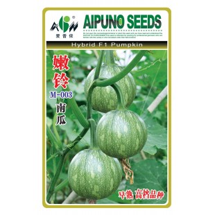 广东爱普农 嫩铃M-003南瓜种子 极早熟 高档品种 产量可达3500公斤 基地首选 小南瓜种子 8克装
