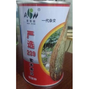 广东爱普农 严选239蜜本南瓜种子 瓜棒锤形 果肉厚 心室小 亩产约3500公斤 南瓜种子 40克装