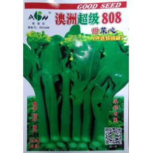 广东爱普农 澳洲超级808甜菜心种子 最新育成 粗条花苔大 抗病 抗雨 耐寒性好 菜心种子 200克装