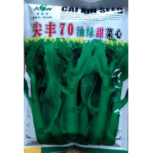 广东爱普农 尖丰70油绿甜菜心种子 叶柄特短 苔叶尖叶型 耐风雨 抗病 从播种至始收35天左右 菜心种子 400克装