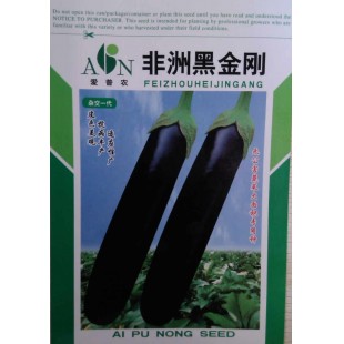 广东爱普农 非洲黑金刚黑茄种子 果皮有乌金光泽 果型棒状 蔬菜基地首选 茄子种子 5克装