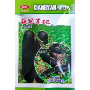 湖南湘研 铁冠军冬瓜种子 果实泡弹型 瓜长70-90厘米 在江苏大丰表现非常好 商品性特别高 冬瓜种子 200粒装
