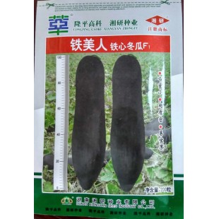 湖南湘研 铁美人黑皮冬瓜种子 果实炮弹形 瓜形较瘦长 肉厚 空腹小 商品性高 冬瓜种子 200粒装