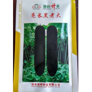 湖南湘研 亮长黑老大冬瓜种子 长炮弹型 肉厚6厘米左右 瓜型整齐 头尾粗度一致 冬瓜种子 200粒装