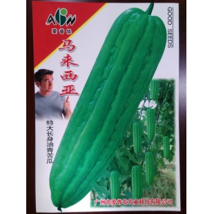 广东爱普农 马来西亚特大长身油青苦瓜种子 中熟 丰产抗病 外观光泽油亮 瓜长30-38厘米 苦瓜种子 40克装