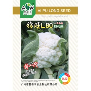 广东爱普农 锦旺L8白花菜种子 中晚熟 花球紧促 洁白美观 商品性高 口感佳 耐寒耐湿 花椰菜种子 5克装