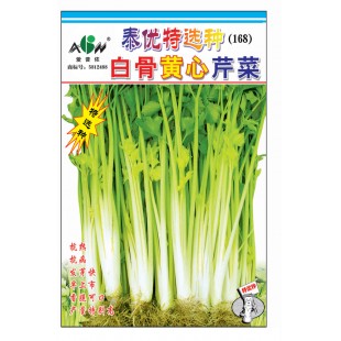广东爱普农 泰国白骨黄心芹种子 抗热耐寒 抗病抗逆 生长速度快 叶片大 呈淡绿色 黄心芹菜种子 50克装