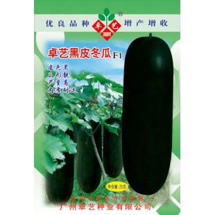 广州卓艺 黑皮冬瓜种子 加长型 颜色黑亮 炮弹型冬瓜领军品牌 瓜长圆形 长约65-80公分 冬瓜种子 25克装