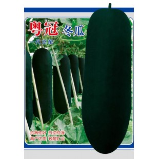 广东粤蔬 粤冠冬瓜种子 炮弹型 适合冬瓜糖加工使用 转黑快，高产，抗病 冬瓜种子 40克罐装