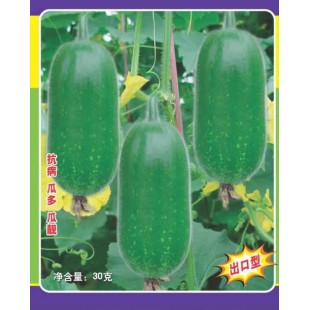 清远清蔬 粤农9号节瓜种子 抗寒 抗病 优质 高产 节瓜种子 30克装