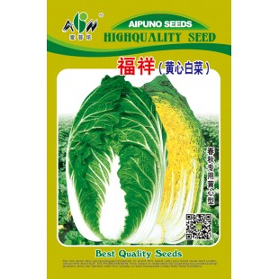 广东爱普农 福祥黄心白菜 杂交早熟型大白菜种子 内叶黄色 单球重约3.5公斤 抗病性强 适应性广 白菜种子 10克装