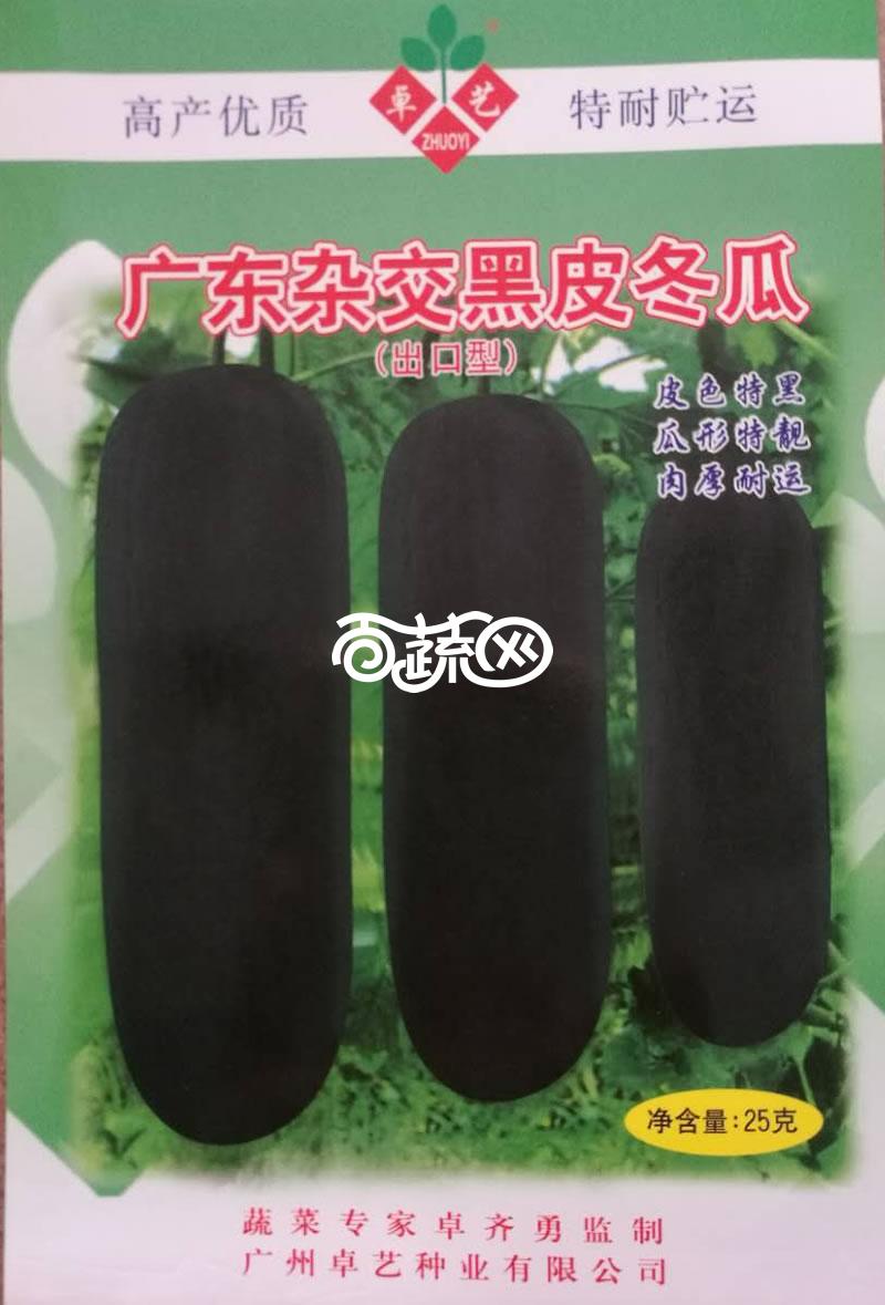 黑皮冬瓜种子 出口型 60-65厘米长 农科院老专家选育 皮色黑 瓜形靓