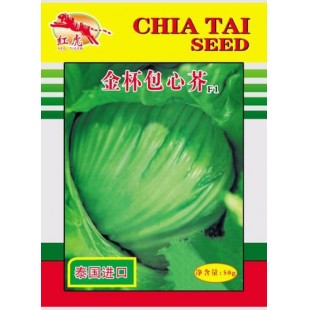 江苏正大 金杯包心芥种子 中晚熟 耐热抗逆 结球紧实 球形美观 单球重1.5公斤 包心芥种子 50克装