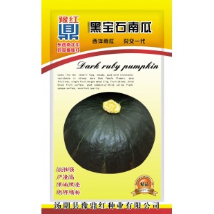 河南豫鼎红种业 黑宝石南瓜种子 耐寒性好 抗性强 果面黑亮 肉厚质粉 南瓜种子 10克装