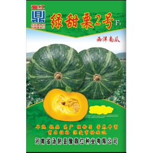 河南豫鼎红种业 绿甜栗2号南瓜种子 抗病性强 早熟 果皮墨绿带淡绿色条纹 肉红黄色 食味极佳 南瓜种子 10克装