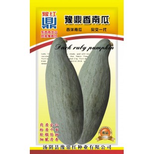 河南豫鼎红种业 豫鼎香南瓜种子 贵族南瓜 世界上目前最好吃的南瓜 颜色青灰色 肉持金红 软糯香甜 口感细腻 南瓜种子 10克装