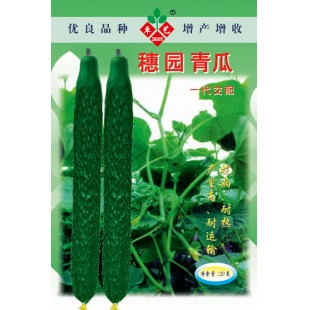 广州卓艺 穗园青瓜种子 农科院老专家选育 耐热 抗病 产量高 青瓜种子 10克装