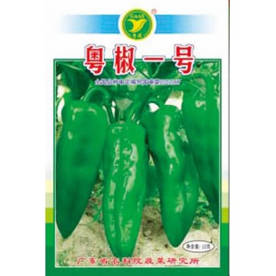 广东粤蔬 粤椒一号种子 广东农科院选育 亩产2500kg 早熟 味甜带微辣  辣椒种子 10克装