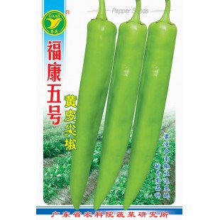 广东粤蔬 福康五号黄皮尖椒种子 广东农科院选育 亩产4500公斤 耐贮运 辣味 尖椒种子 8克装