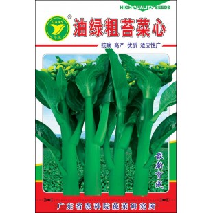 广东粤蔬 油绿粗苔菜心种子 广东农科院选育 播种至初收约30天 亩产量1500公斤 菜心种子 40克装
