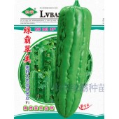 广州绿霸 绿霸翠美黑籽大肉油绿苦瓜种子 抗病 油绿 丰产 耐热 耐湿 生长势强 苦瓜种子 25克装