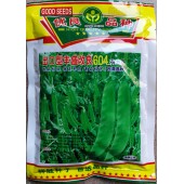 广州祥胜 出口型丰盛改良604荷兰豆种子 台湾选种 抗病性强 结荚率高 商品性好 荷兰豆种子 500克装