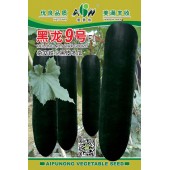广东爱普农 黑龙九号杂交铁心冬瓜种子 果实细长 瓜长75-90厘米 转黑快 铁心冬瓜种子 15克装