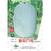 广东爱普农 粉杂九号冬瓜种子 肉质好 无酸味 无籽 适合出口 粉皮冬瓜种子20克装