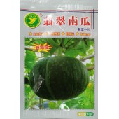 广东粤蔬 翡翠南瓜种子 广东省农科院出品 皮绿色 肉色橙黄 单瓜重约1.5公斤 南瓜种子  10克装
