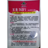 广东爱普农 玉龙262杂交黑叶白菜种子 耐热 抗病 高产 白菜种子200克装