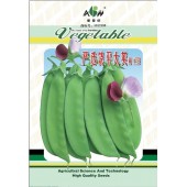 广东爱普农 严选饶平大荚荷兰豆种子 品质好 连续结荚性强 鲜荚特别适合速冻和出口用 荷兰豆种子 400克装