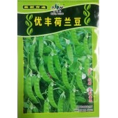 广东爱普农 优丰荷兰豆种子 11号荷兰豆再改良的新品种 产量高 荚形较大且平直 清甜 纤维少 400克装