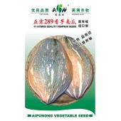 广东爱普农 正宗289香芋南瓜种子 新育成 出口型 早熟 耐低温 果实生长快 南瓜种子 10克装